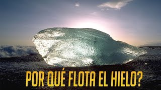 Por qué el hielo flota [upl. by Paquito226]