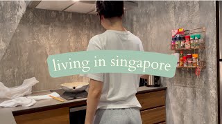 Living In Singapore How i try to work and cook  4 days WFH [upl. by Uot]