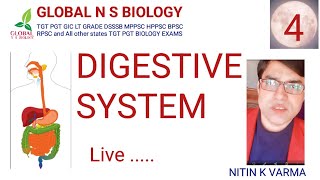 Digestive system Lecture 4 [upl. by Ambrosia]