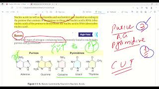 Nucleotide structure and nomenclature  Molecular biology  Biochemistry  First Aid Lectures  Lec2 [upl. by Alberto622]