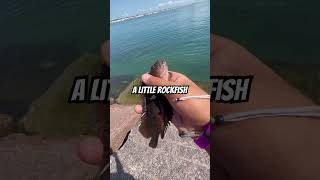 Fishing at the jetties day 3 fishing saltwater fish jetties big [upl. by Nessy13]