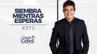 Dante Gebel 372  Siembra mientras esperas [upl. by Clellan]