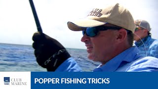 Popper fishing tricks with Al McGlashan  Club Marine TV [upl. by Mann979]