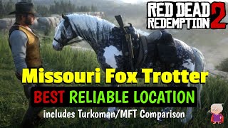 About the Missouri Fox Trotter  Gaited Horse Breeds  DiscoverTheHorse [upl. by Odinevneib]