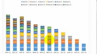 Excel Cohort Analysis [upl. by Yragerg596]