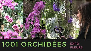 Tout savoir sur les Orchidées avec lexpostion quotMille et une Orchidéesquot [upl. by Ange129]