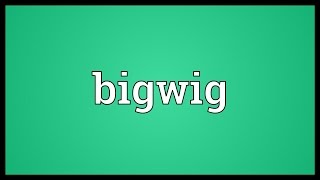 Bigwig Meaning [upl. by Dej]