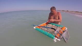 Shark Tooth Hunting in Venice FL [upl. by Coralie]