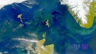 Eddies Drive Particulate Carbon Deep in the Ocean During the Spring Phytoplankton Bloom [upl. by Htnicayh254]