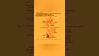 Human Reproduction FULL CHAPTER  Class 12th Zoology  NEET  biology shortvideo shorts dr [upl. by Amieva425]