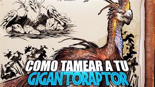 COMO TAMEAR A TU GIGANTORAPTOR  Guia Español  Ark Survival Ascended [upl. by Purvis464]