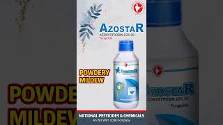 AZOSTAR  Azoxystrobin 23 SC Fungicide [upl. by Gehlbach790]