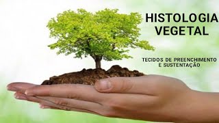 HISTOLOGIA VEGETAL TECIDOS DE PREENCHIMENTO E SUSTENTAÇÃO [upl. by Delastre]