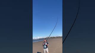 Smoothound Fishing With Jonathan Merrett 🦈🎣 [upl. by Einahpet]