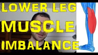 Muscle Imbalance Between Calves amp Tibialis Anterior Muscle Explained [upl. by Drareg]