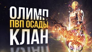 пвп осады клан фарм  битва блогеров 3 выпуск  lineage 2 legacy 2023 [upl. by Jarlath]