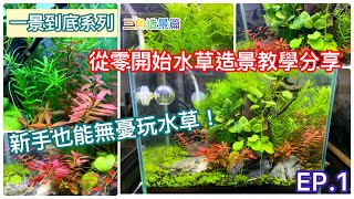 ASCUBE 水族水草缸設置EP1 只要選對新手水草！漂亮水草缸隨手得！Right choices of plant brings you nice aquarium [upl. by Inez]