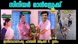 കാരണഭൂതം ഇൻഡോനേഷ്യ ചാമ്പൽ ആക്കി  PINARAYI VIJAYAN TROLL  DUBAI [upl. by Emera]