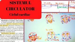 ADMITERE MEDICINA SISTEMUL CIRCULATOR 6 Inima partea a IIa  Ciclul cardiac [upl. by Valentine]