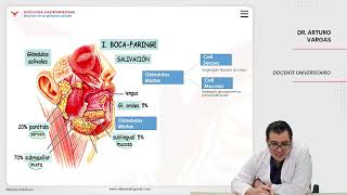 VILLAMEDIC  Fisiología gastrointestinal Secreción gastrointestinal [upl. by Corby]