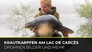 Krautkarpfen am Lac de Carcès  Krautangeln  Drohnenaufnahmen  Südfrankreich  Roadtrip [upl. by Adin]