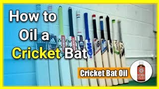 How to oil a cricket bat RTP cricket [upl. by Antonina]