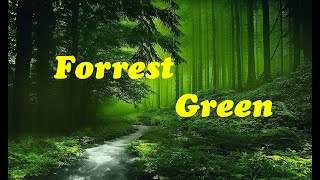 Forest Green [upl. by Ojadnama961]