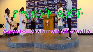 አሰላ Apostolic church  የሚደነቅ ልጆች እስከ መጨረሻ እዩት  Apostolic church of Ethiopia [upl. by Jevon]