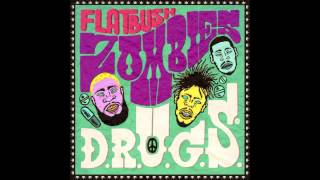 Flatbush Zombies  Remember I Got Money Prod By Erick Arc Elliott [upl. by Eeresed62]