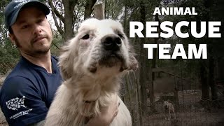 HSUS Animal Rescue Team [upl. by Ylrebme]