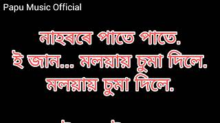 HD Karaoke with lyrics Nahorore Pate Pate Oi Jaan Zubeen Garg Song [upl. by Elleb]