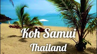 Koh Samui Thailand VLog part 2 [upl. by Lledal519]