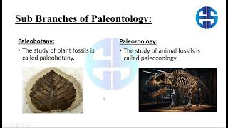 Paleontology and SLObased Questions  Class 9th SLOBased Biology  Lect 9  ETEA SMASHER [upl. by Agatha742]