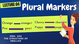 Singular and Plural Nouns  Plural Markers in Morphology [upl. by Cherilynn59]