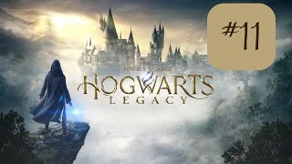 Un cours de Botanique  Hogwarts Legacy  LHéritage de Poudlard 11 [upl. by Naffets]