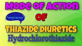 Mode of action of Hydrochlorothiazide [upl. by Hehre]