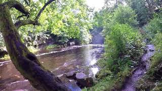 Rukins Campsite  Keld North Yorkshire [upl. by Yrroc]