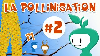 La pollinisation explication 22 [upl. by Ahel]