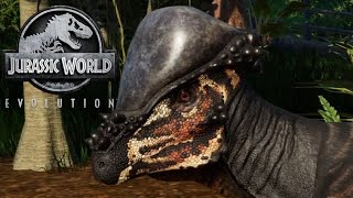 5 Pachycephalosaurus amp 5 Velociraptor Breakout amp Fight  Jurassic World Evolution Mods 4K 60FPS [upl. by Myrilla757]