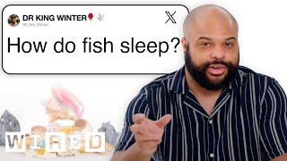 Marine Biologist Answers Fish Questions From Twitter  Tech Support  WIRED [upl. by Koeppel]