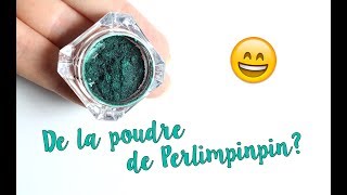 😁 Crash test  De la poudre de Perlimpinpin sur les ongles [upl. by Harneen849]