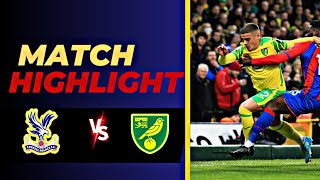 Crystal Palace VS Norwich  Highlights  England Carabao Cup  28 August 2024 [upl. by Ule301]