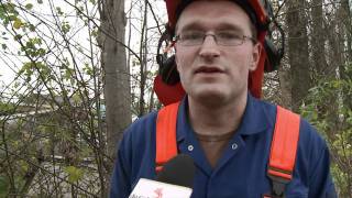 Cursus zagen voor bomen van kerels [upl. by Quartana]