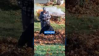 Grandparents have fun playing in leaf pile ❤️ ￼ [upl. by Leicester162]