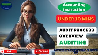 Audit Process Overview Auditing [upl. by Akimit33]