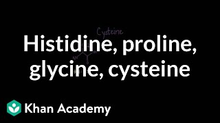 Special cases Histidine proline glycine cysteine  MCAT  Khan Academy [upl. by Rafaellle]