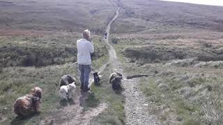 Standedge Canal Tunnel Marsden Circular Walk Peak District UK [upl. by Ingham]