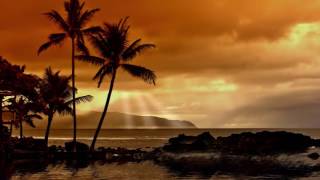 Hawaiian Islands Music Traditional Hawaiian Songs for Deep Relaxation [upl. by Pierre]