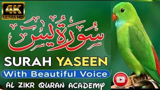 Surah Yaseen  Yasin  Ep  00459  By Qari Zakir Rahman  سورہ یسن Beautiful Recitation [upl. by Einalam469]