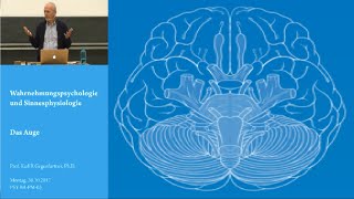 Folge 2 Neurowissenschaftliche Grundlagen  Vorlesung Wahrnehmungspsychologie  Karl Gegenfurtner [upl. by Alix]